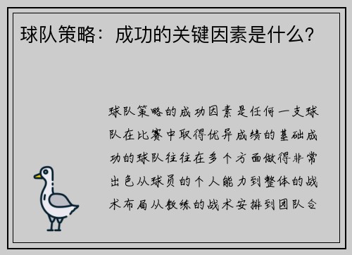 球队策略：成功的关键因素是什么？